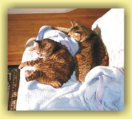 Tabitha and Kramer's afternoon nap - Part 2