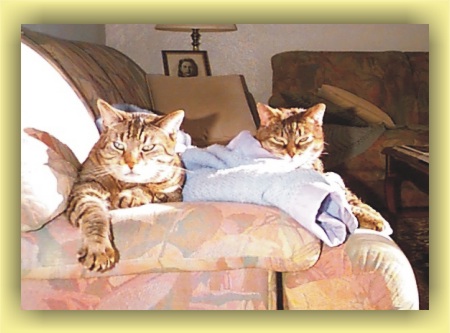 Tabitha and Kramer's afternoon nap - Part 3