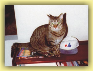 Kramer the Expos fan