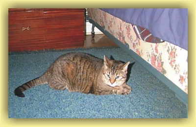 Kramer preparing to hide