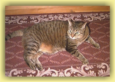 Kramer just lying around