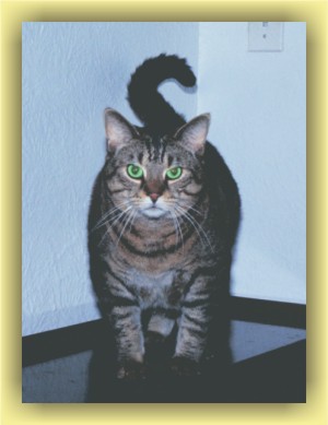 Contact us about Kramer