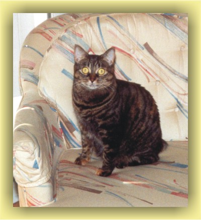 Tabitha Introduction