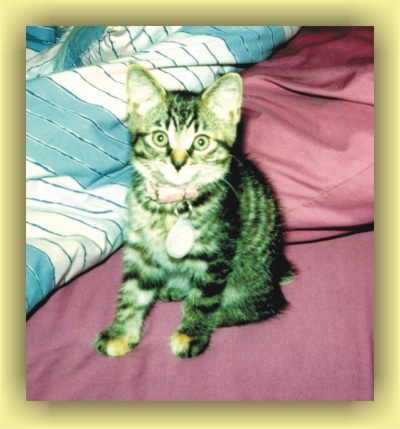 Tabitha's staring game