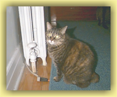 Tabitha seeking out warmth
