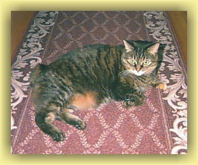 Tabitha just lying around