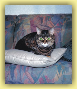 Contact us about Tabitha