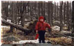 cabane_a_sucre1999.jpg (41340 octets)