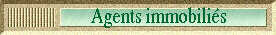 agfents immobiliers