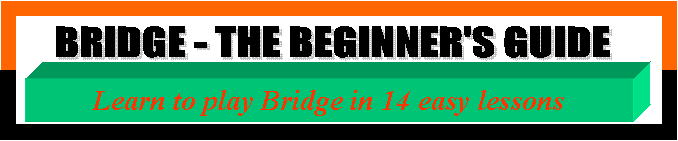 BRIDGE - THE BEGINNER'S GUIDE