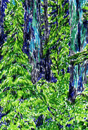 Blue forrest