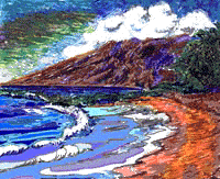 A Hawaiian Beach