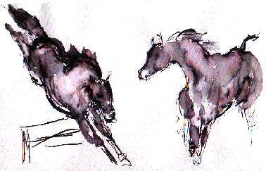 sort of abstract horses; 1 landing from a jump, other watching