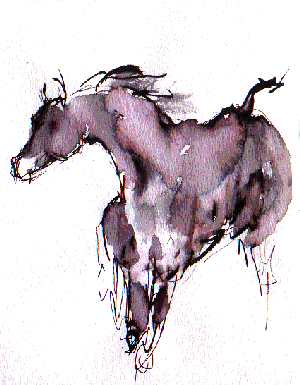 horse to the left, watching the other