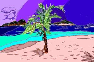 [palmtree in jpeg format]