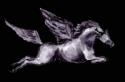 [Black Pegassus]