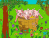 [4 pigs]