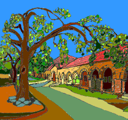 [A view of the Stanford campus, with oak trees]