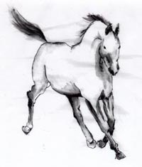 [Horse 1