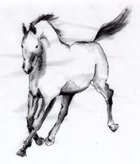 [Horse 4