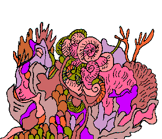 [Coral reef