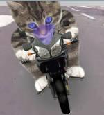 Biker Kitty Flash animation