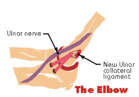 elbow