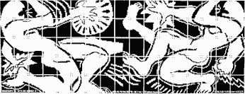 dessin num&eacute;ris&eacute;