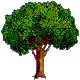 A TREE
