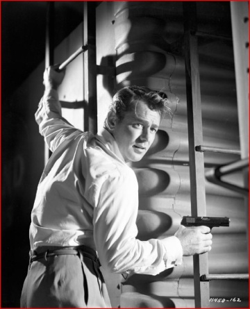 Alan Ladd