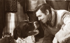 Clark Gable and Buck in "The Call Of The Wild"